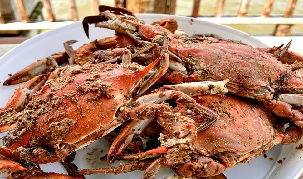 Soft-Shell Crabs
