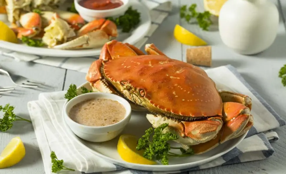Dive into Dungeness Crab